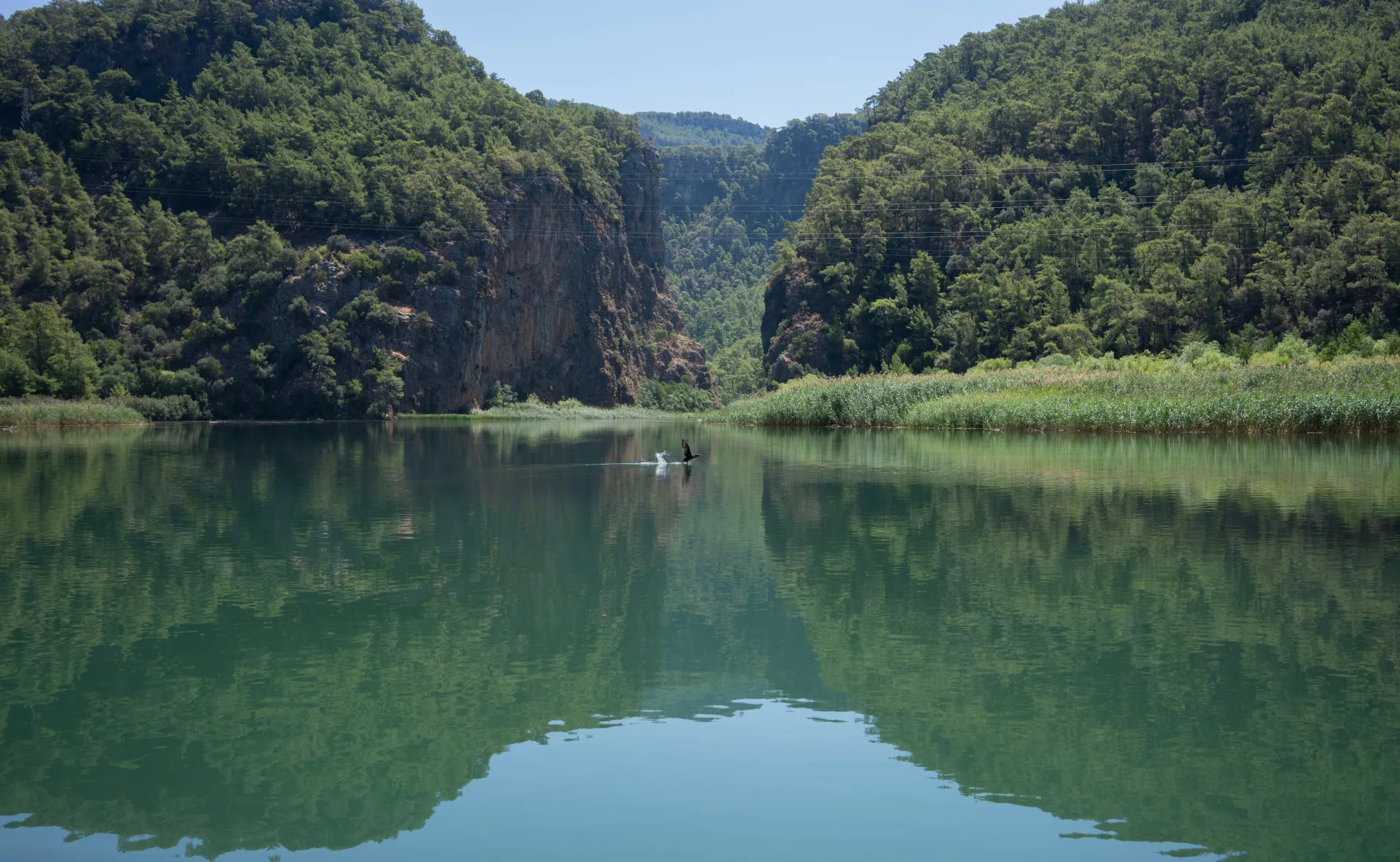dalaman cayi